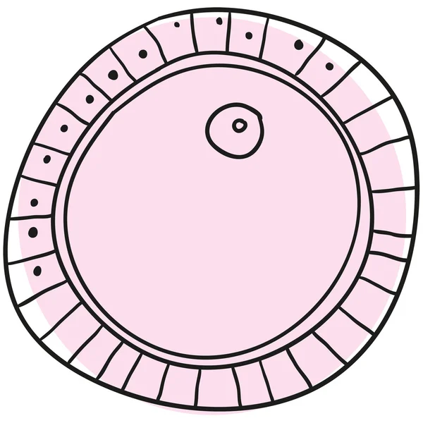 El óvulo — Archivo Imágenes Vectoriales