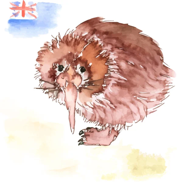 Oiseau kiwi — Image vectorielle