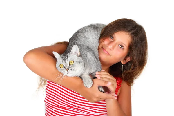 Chica con un gato escocés — Foto de Stock