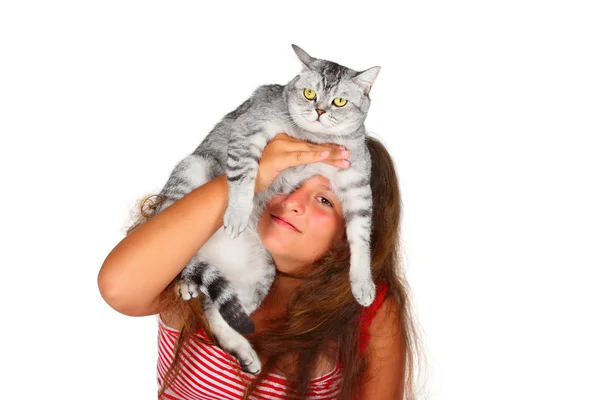 Dívka a skotské kočka — Stock fotografie