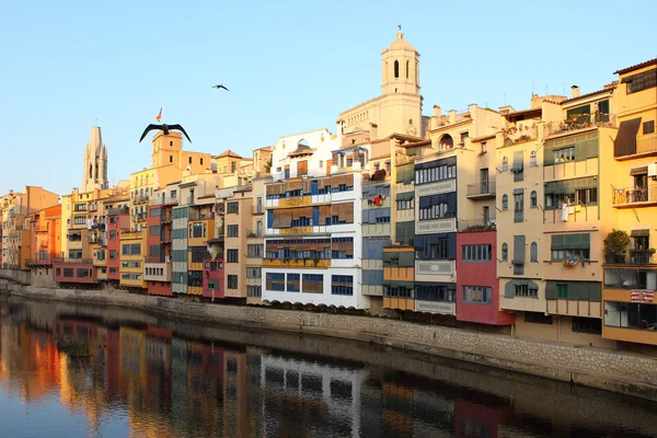 Nehir ve evler Girona Manzarası. Catalonia, İspanya — Stok fotoğraf
