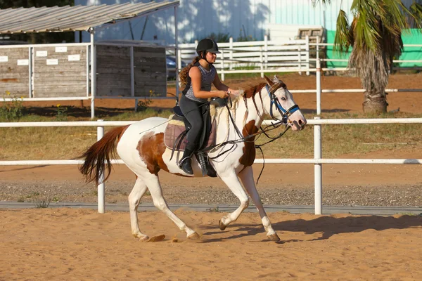 Pequeno jóquei e cavalo — Fotografia de Stock