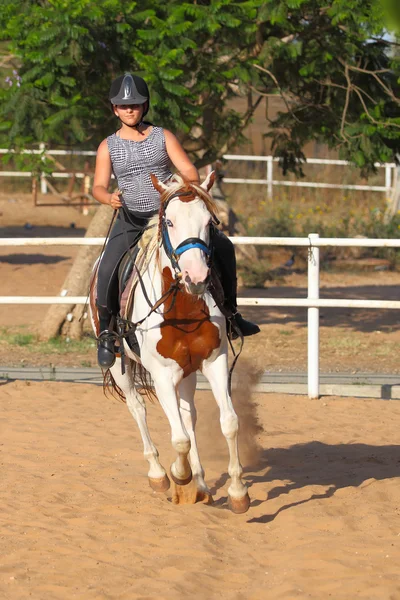 La bambina sta cavalcando un cavallo — Foto Stock