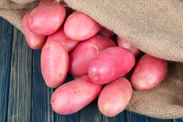 Kartoffeln im Klettenbeutel — Stockfoto