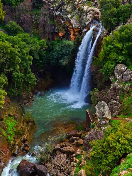 Καταρράκτες Saar την άνοιξη στο Γκολάν (Ισραήλ). Εικόνα Αρχείου