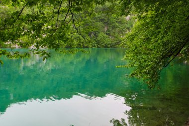 Gölde plitvice Milli Parkı