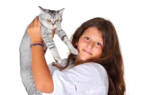 Menina e escocês em linha reta gatinho — Fotografia de Stock