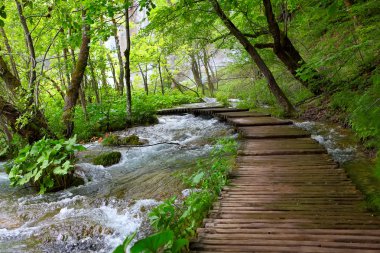 Plitvice Milli Parkı