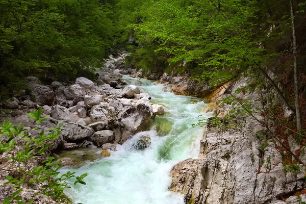 Waterfall Savica — Stock Photo, Image