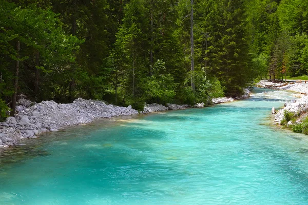 Fiume di montagna — Foto Stock