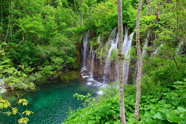 Cachoeira — Fotografia de Stock