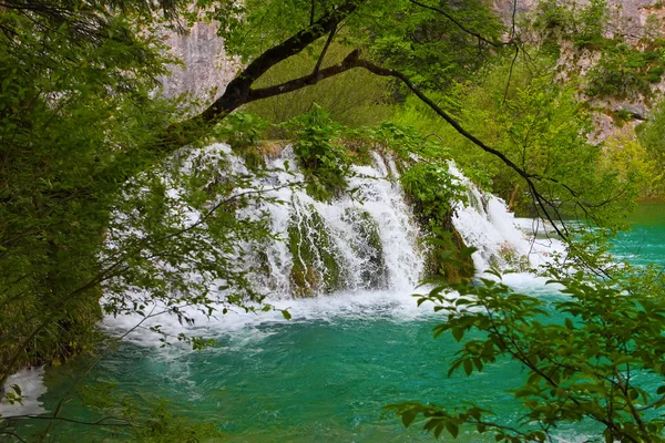 Plitvice Lakes nasjonalpark – stockfoto