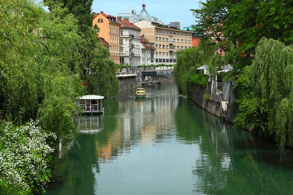 Ljubljana, Slowenien — Stockfoto