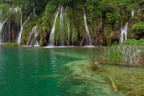 Plitvice lacs parc national, croatie — Photo