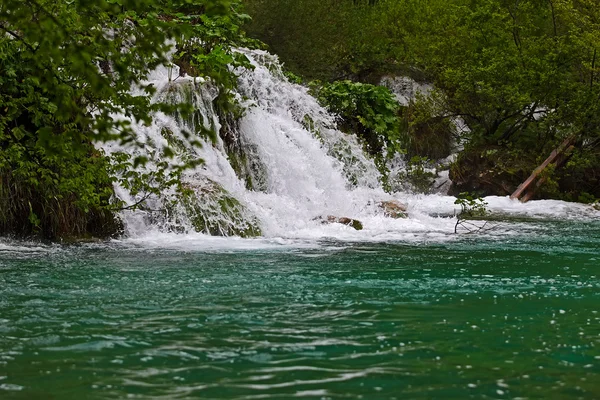 Lacs de Plitvice, Croatie — Photo