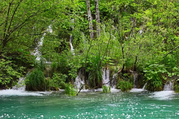 Plitvicesjöarna, Kroatien — Stockfoto