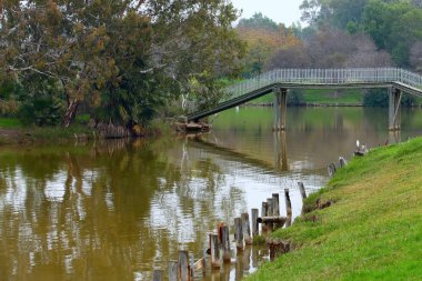 ahşap yaya köprüsü