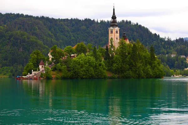 Ausgebluteter See, Slowenien — Stockfoto