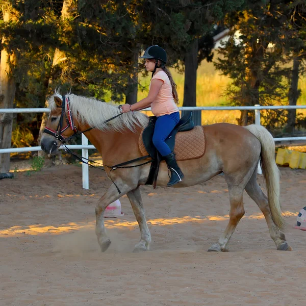 Jockey — Stockfoto