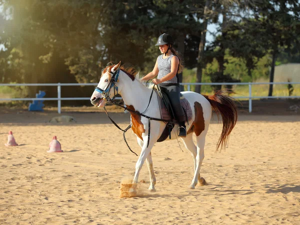 Little jockey and horse