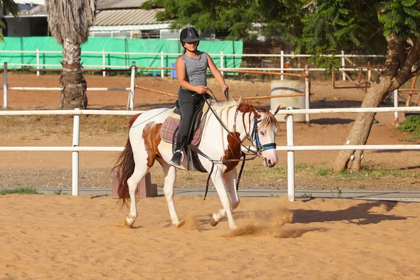 Giovane ragazza sta cavalcando un cavallo — Foto Stock