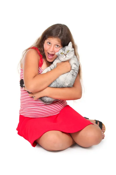 Young girl with a scottish cat Royalty Free Stock Photos