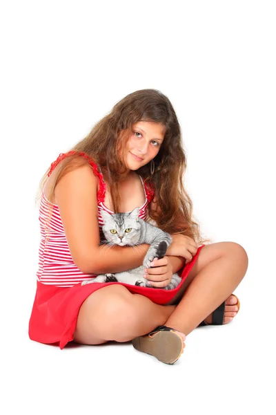 Ragazza con un gatto scozzese — Foto Stock