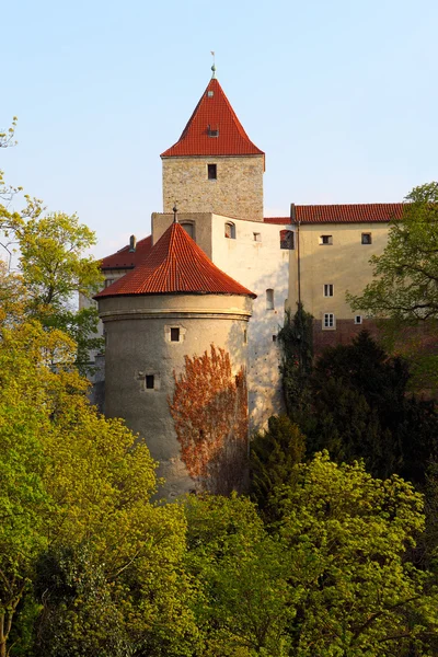 View back of St. Vitus cathedral in Prague castle — Stock Photo, Image