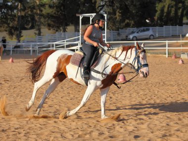 küçük jokey ve at 