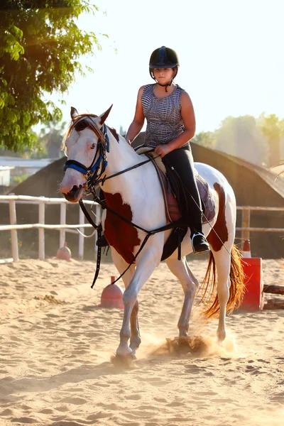 Lilla jockey och häst — Stockfoto