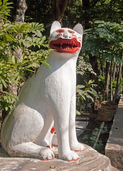 Cat at the entrance to Wat Xieng Thong temple in Luang Prabang