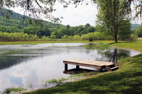 Bauernteich mit Steg — Stockfoto