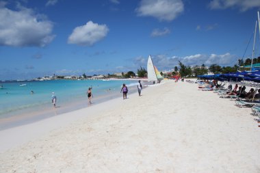 Brown'ın kumsalda Barbados Karayip Adası