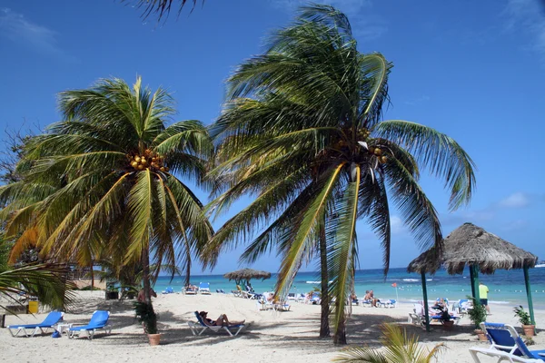 Paraíso en el Caribe — Foto de Stock