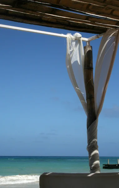 Canopy de playa del Caribe — Foto de Stock