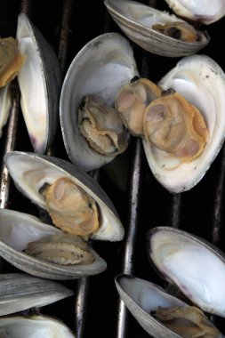 İstiridye açık bir ızgara