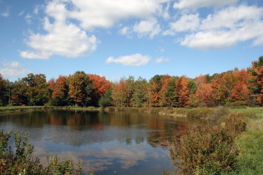 Kırsal bir su birikintisi boyunca sonbahar renkleri