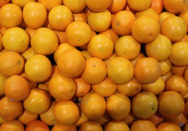 Kaliforniya portakalları ekranda