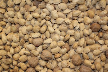 Ekranda çeşitli fındık