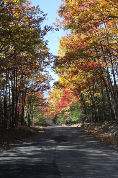 Φθινόπωρο χρώματα κατά μήκος ενός δρόμου χώρας — Φωτογραφία Αρχείου