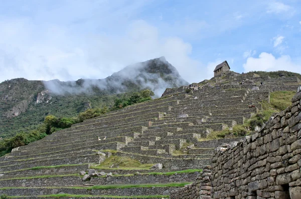 Machu Picchu di Peru — Stok Foto