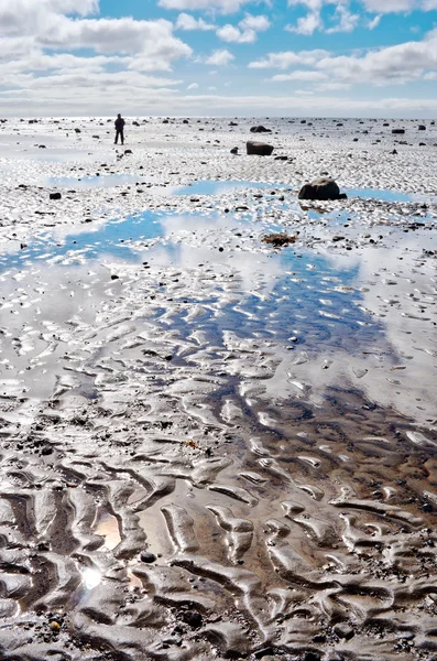 Kust van de Witte Zee, Solovki, Rusland — Stockfoto