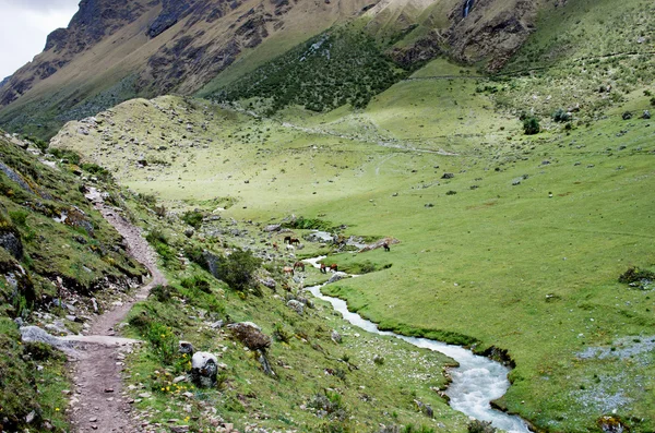 Trekking in mountains, Peru — Stock Photo, Image