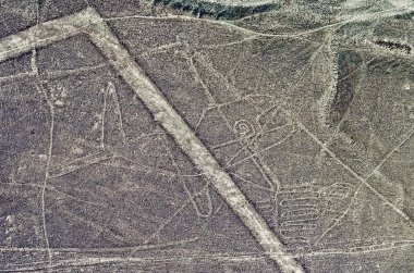 Geoglyphs ve çizgiler Nazca Çölü'nde.