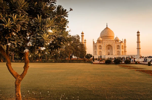 Taj Mahal Agra, Hindistan 'da. — Stok fotoğraf