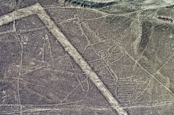 Geoglyphs és a vonalakat a Nazca-sivatagban. — Stock Fotó