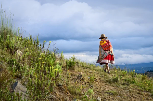 Mujer peruana en las montañas — Foto de Stock