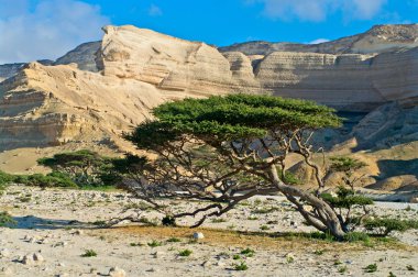 Wadi Shuwaymiyah peyzaj.