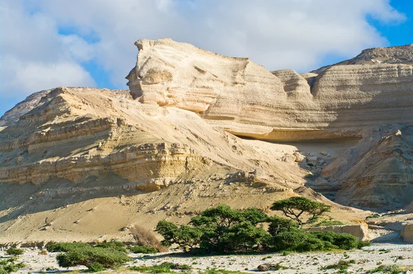 Landscape in Wadi Shuwaymiyah. — Stock Photo, Image