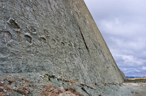 Dinosauriespår på väggen i Cal Orko — Stockfoto